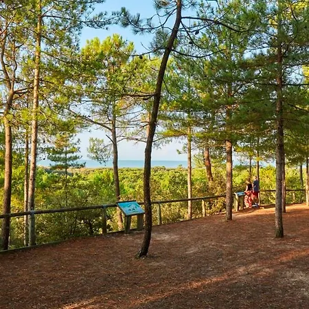 公寓 Superbe 2 - Dernier Etage - Parking Privatif Securise - Fr-1-323-593